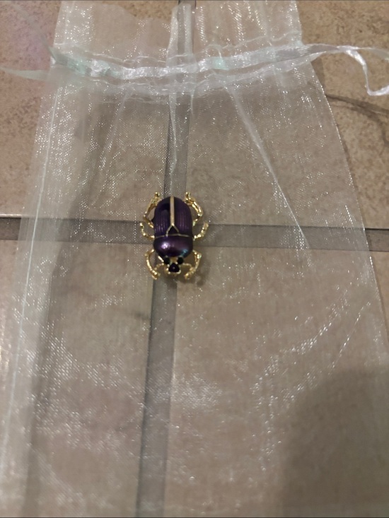 Jewelry - Gold and Purple Scarab Beetle Pin - Women Jewelry